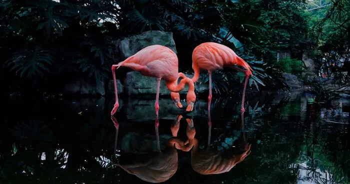 2020 iPhone Photography Award Winners Once Again Proved That Striking Photos Can Be Taken Without An Expensive Camera (45 Pics)