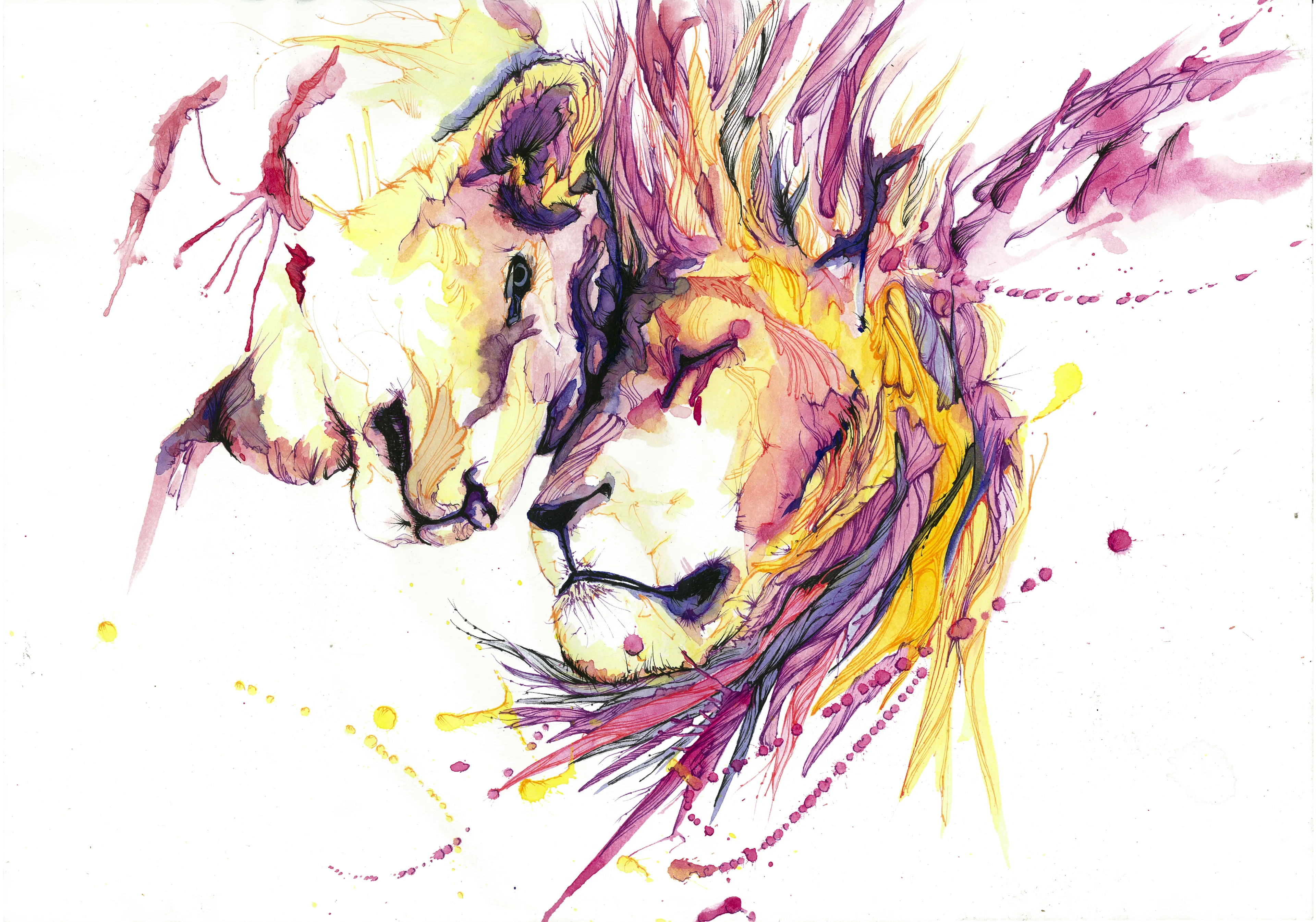 Two Lovely Lions Which I Painted With Watercolor And Ink