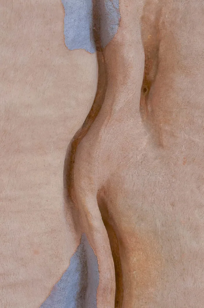 Finalist, 'The Presence' By Peter Pullan