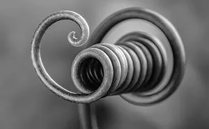 The 2020 Macro Art Photography Awards Just Announced Its Winners And The Photos Are Breathtaking