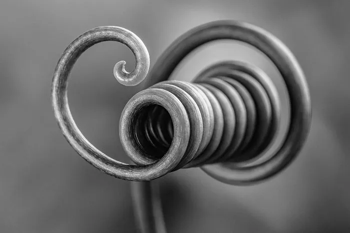 1st Place, 'Botanic Loop' By Bruno Militelli