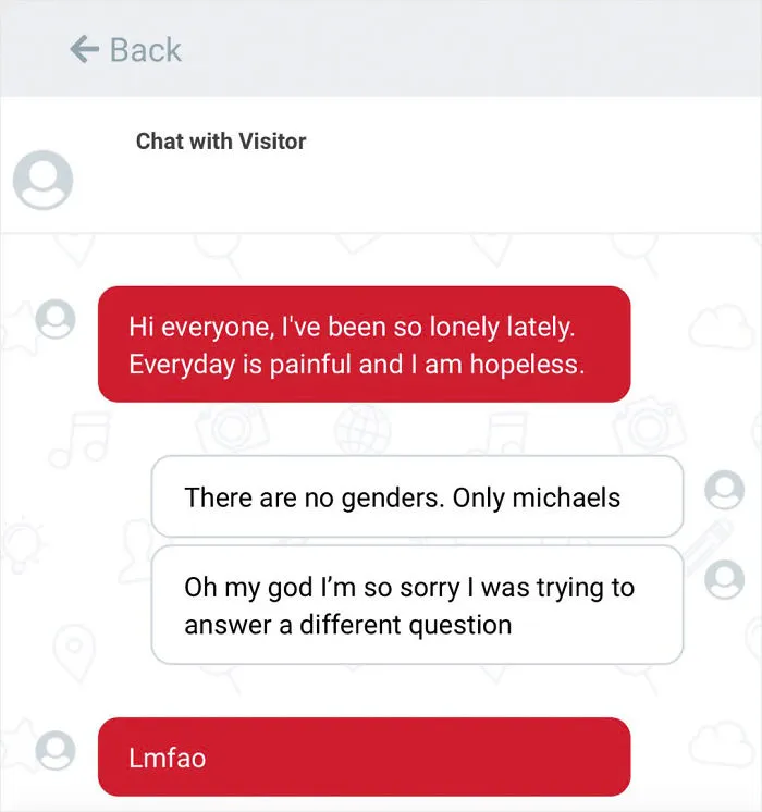 30 Hilarious Conversations Between Shoppers On Michaels' Store Website