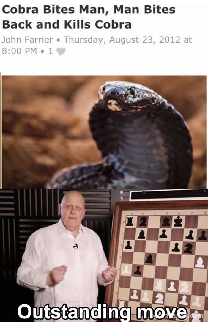 38 Of The Funniest 'Outstanding Move' Jokes Ever