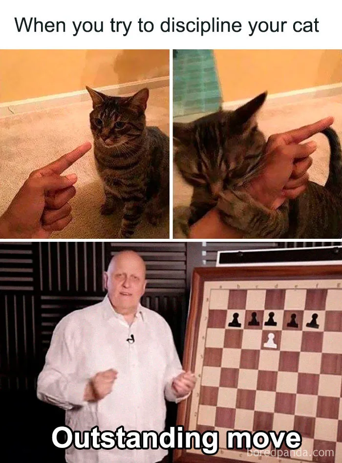 38 Of The Funniest 'Outstanding Move' Jokes Ever
