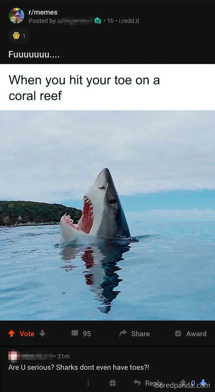 40 Times People Missed The Joke So Bad, They Embarrassed Themselves On The Internet (New Pics)