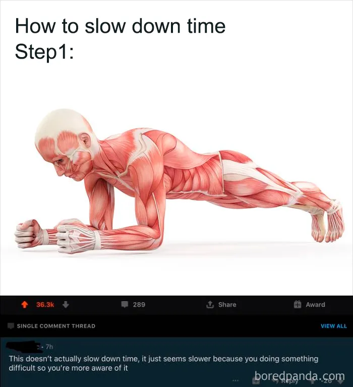 40 Times People Missed The Joke So Bad, They Embarrassed Themselves On The Internet (New Pics)