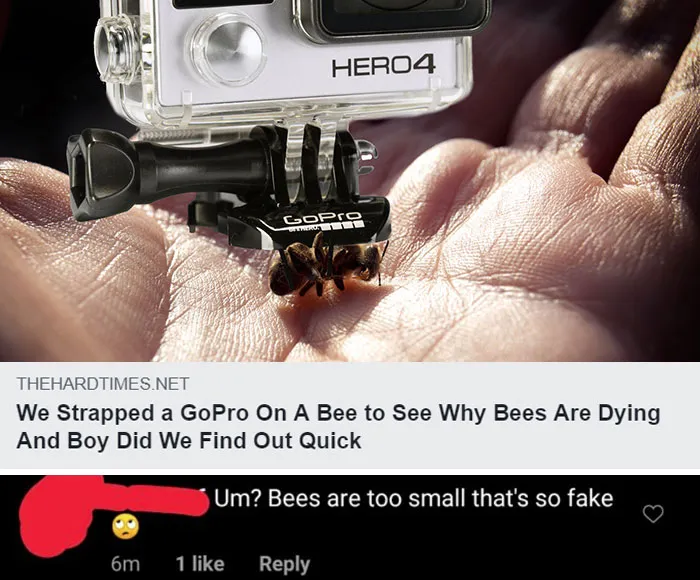 40 Times People Missed The Joke So Bad, They Embarrassed Themselves On The Internet (New Pics)