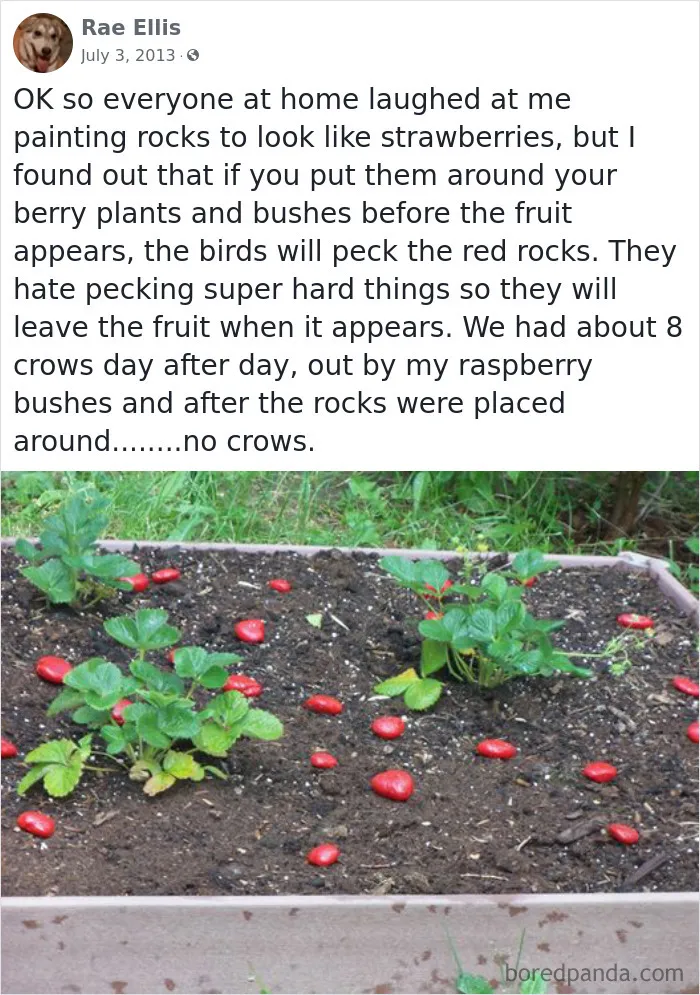 That’s Brilliant
