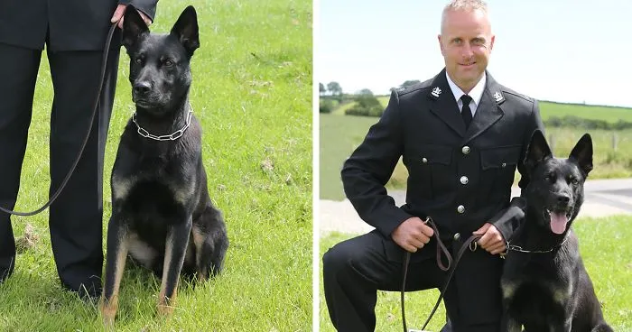 Police Dog Finds Missing Mother And Baby On His First Day At Work