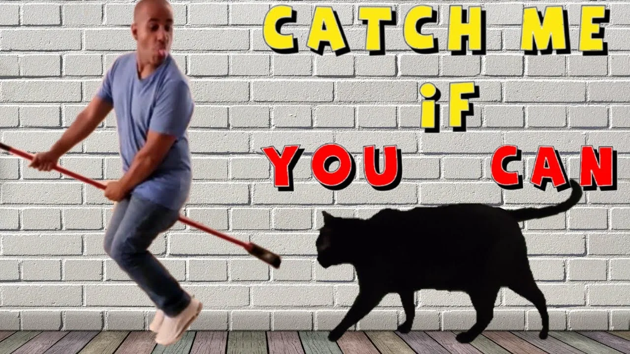 Chasing Game With My Black Cat