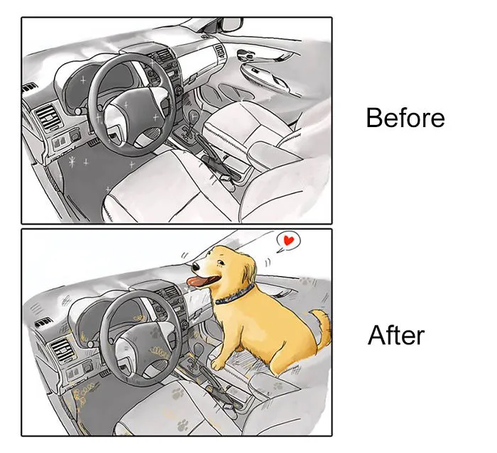 22 Life Changes That Happen After Getting A Pet