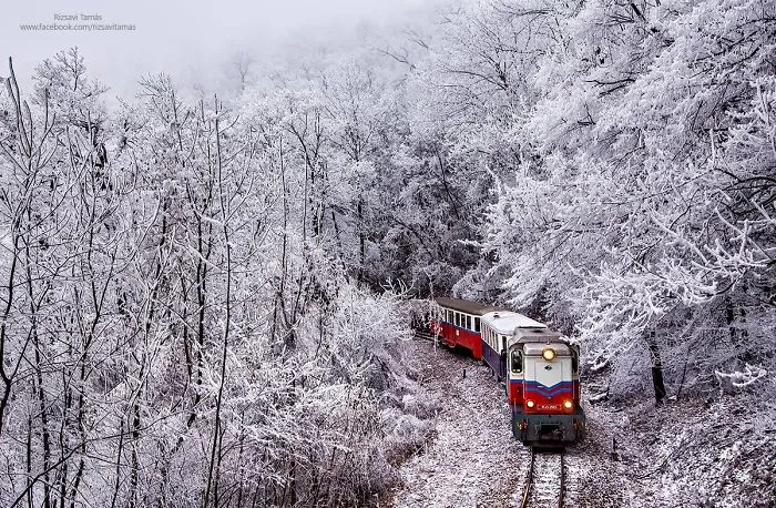 I Spent Five Years Taking Train Pictures In Exciting Places (65 Pics)