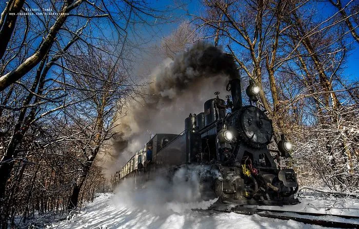 I Spent Five Years Taking Train Pictures In Exciting Places (65 Pics)