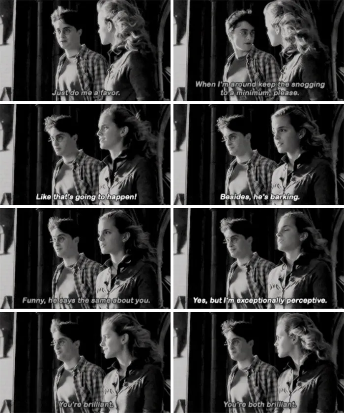 Harry And Hermione Talk About Ron (Half Blood Prince)