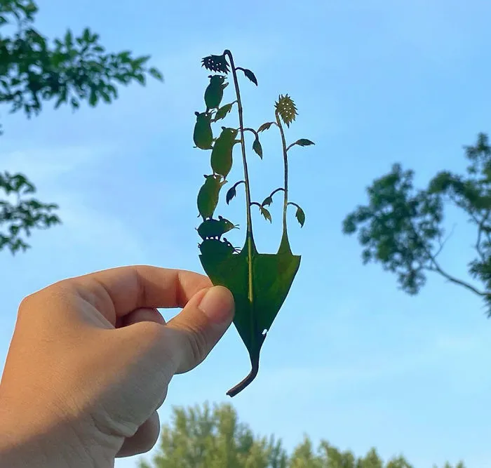 Japanese Artist Made These 30 Cute Vignettes From Leaves