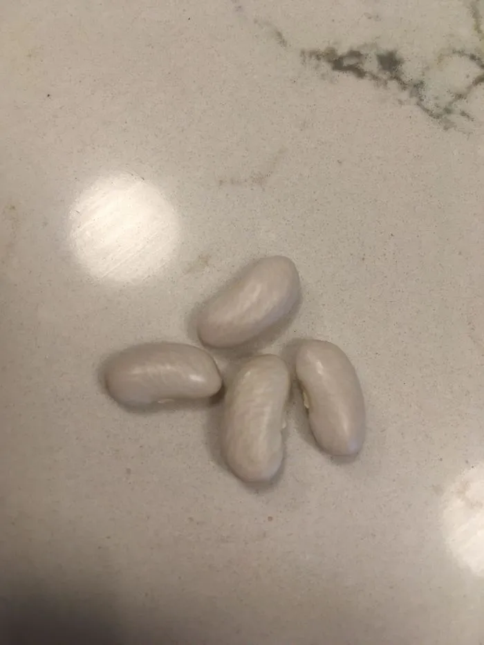 'Failed Harvest': People Are Sharing What They Failed To Grow In 30 Funny Pics