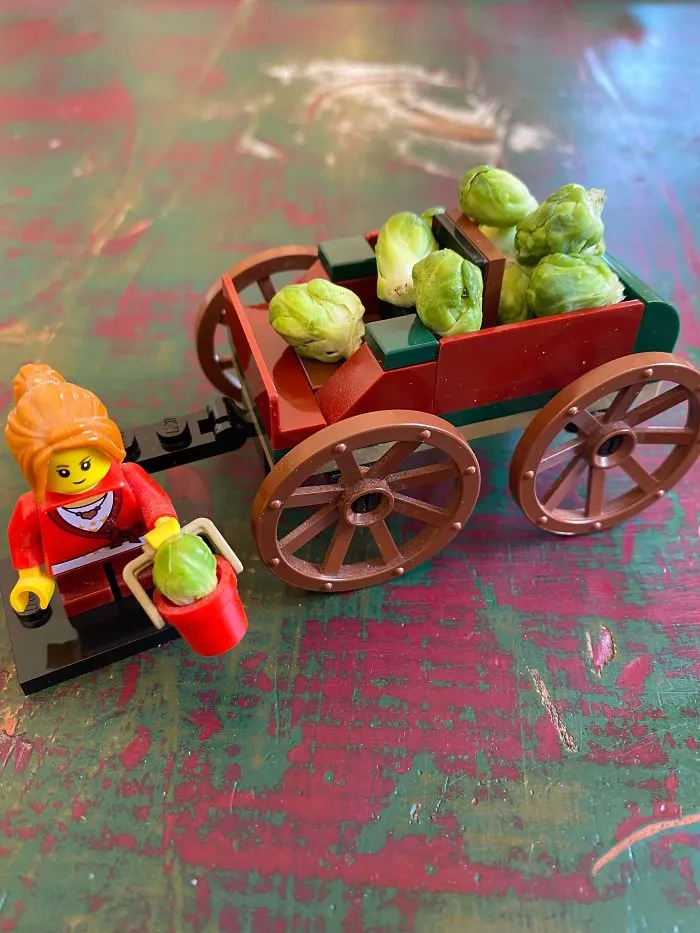 'Failed Harvest': People Are Sharing What They Failed To Grow In 30 Funny Pics