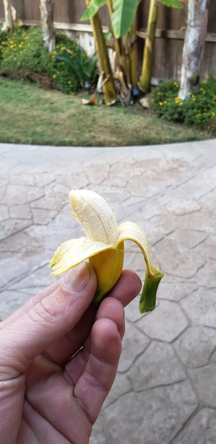 'Failed Harvest': People Are Sharing What They Failed To Grow In 30 Funny Pics