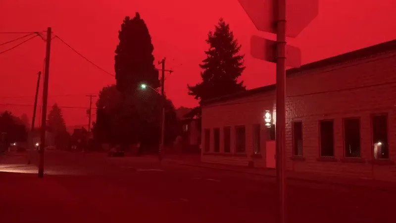 La gente comparte imágenes del infierno que está teniendo lugar en la Costa Oeste de EEUU (40 fotos)