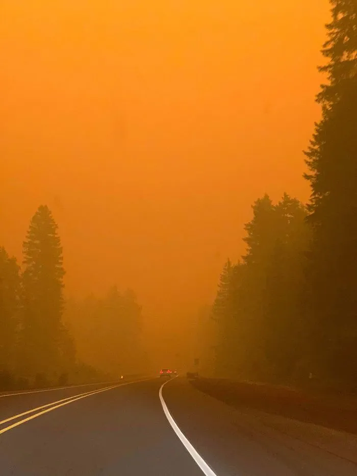 La gente comparte imágenes del infierno que está teniendo lugar en la Costa Oeste de EEUU (40 fotos)