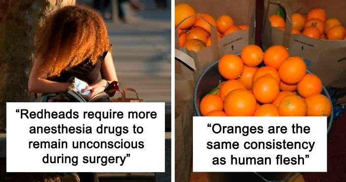 Person Asks Others "What Is The Most 'Why The Hell Do You Know That' Fact," Receives 30 Random Answers