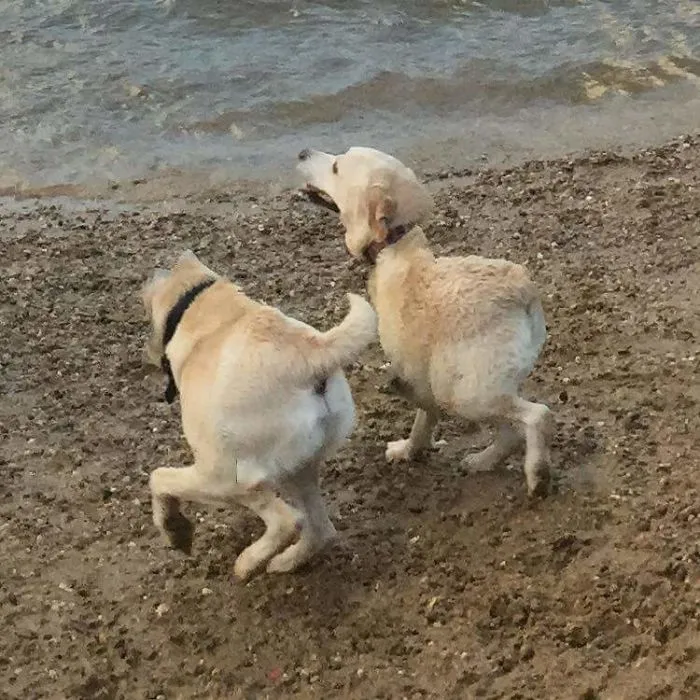 Panoramic Mishap