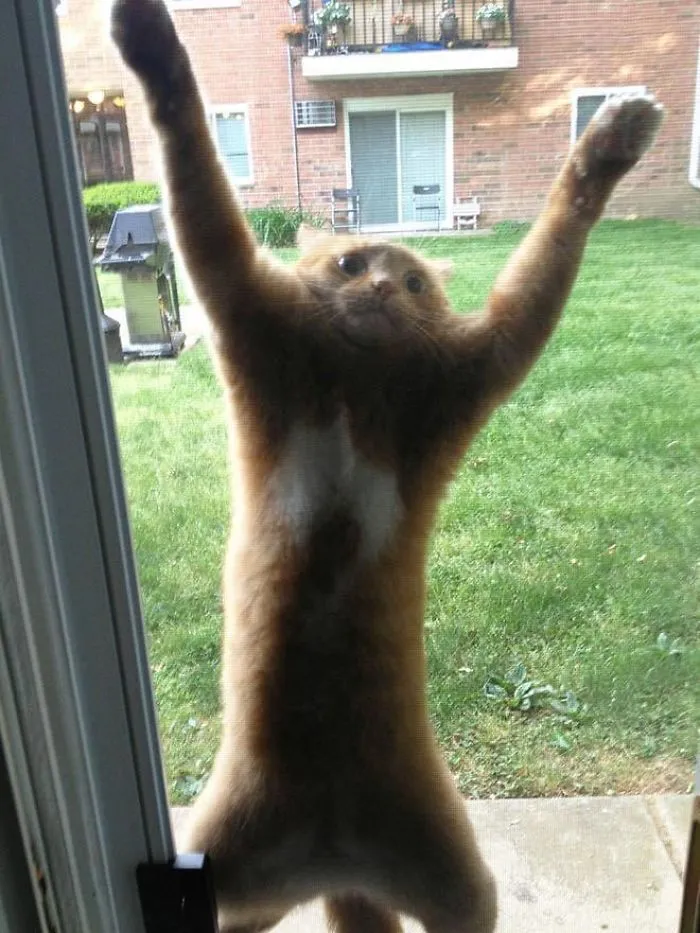I Think He Wants To Come Inside