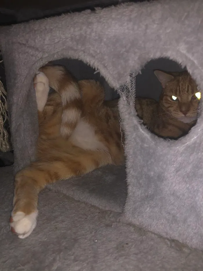 Hello Ladies, Welcome To The Penthouse