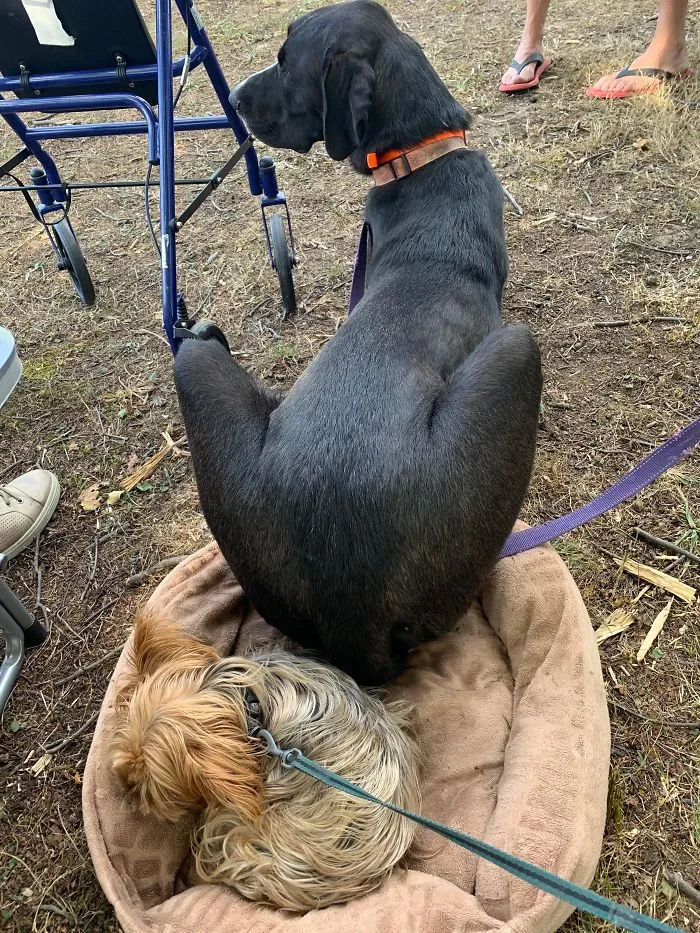 Sharing Is Caring
