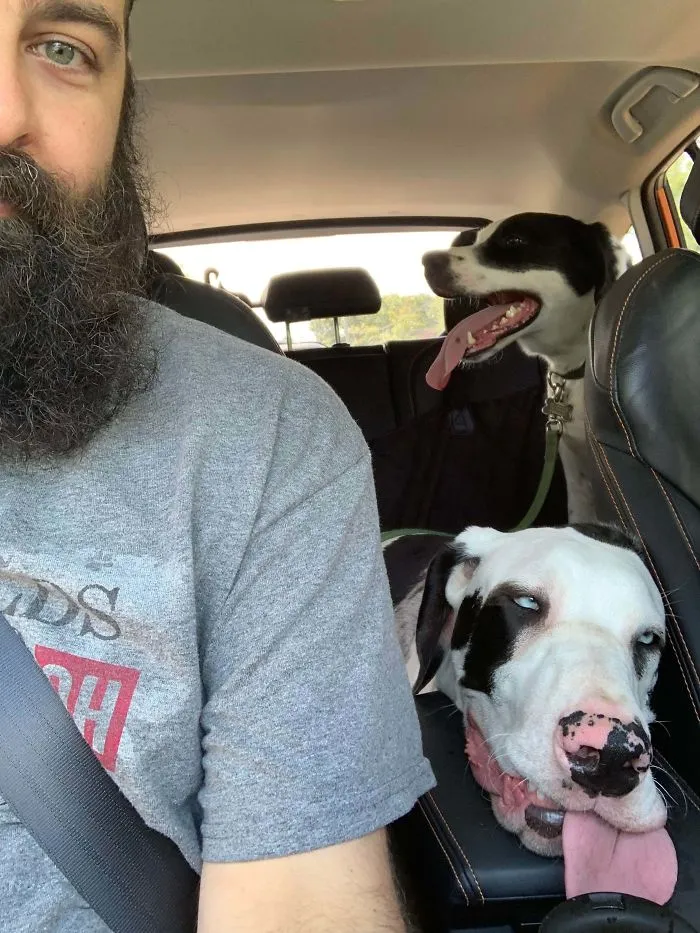 The Park Broke My Dog