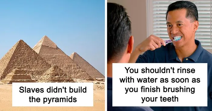 Person Asks Others To Share What Widely Accepted Facts They Know Are Wrong, And Here Are 30 Of The Most Interesting Responses