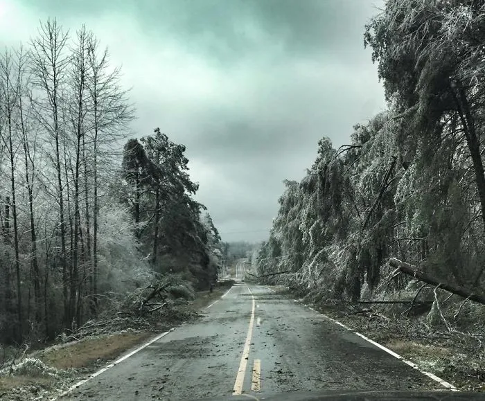 Ice Storm Makes North Georgia Look Like Something Out Of An Apocalypse Movie