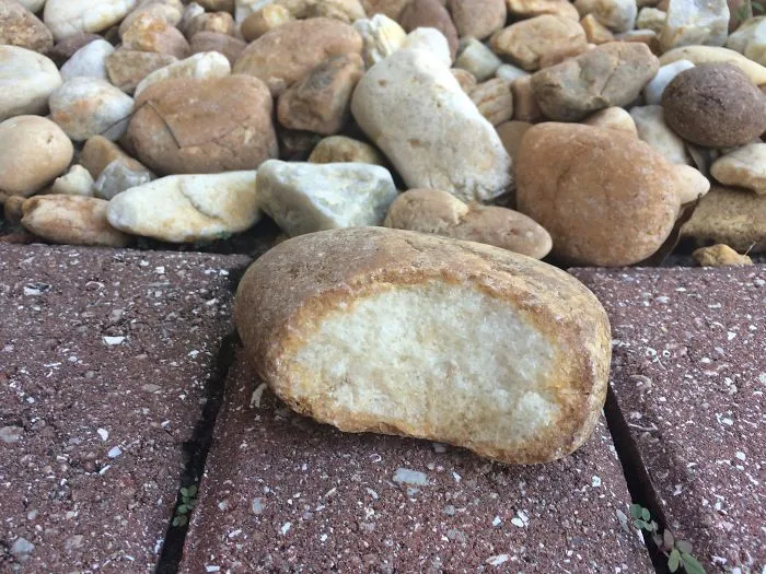 I Found A Rock That Looks Like Bread With A Bite Taken Out Of It