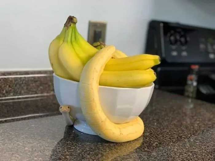 Pass Me A Banana. Actually, I’m Alright