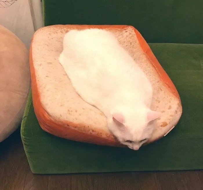 Forbidden Mayonnaise