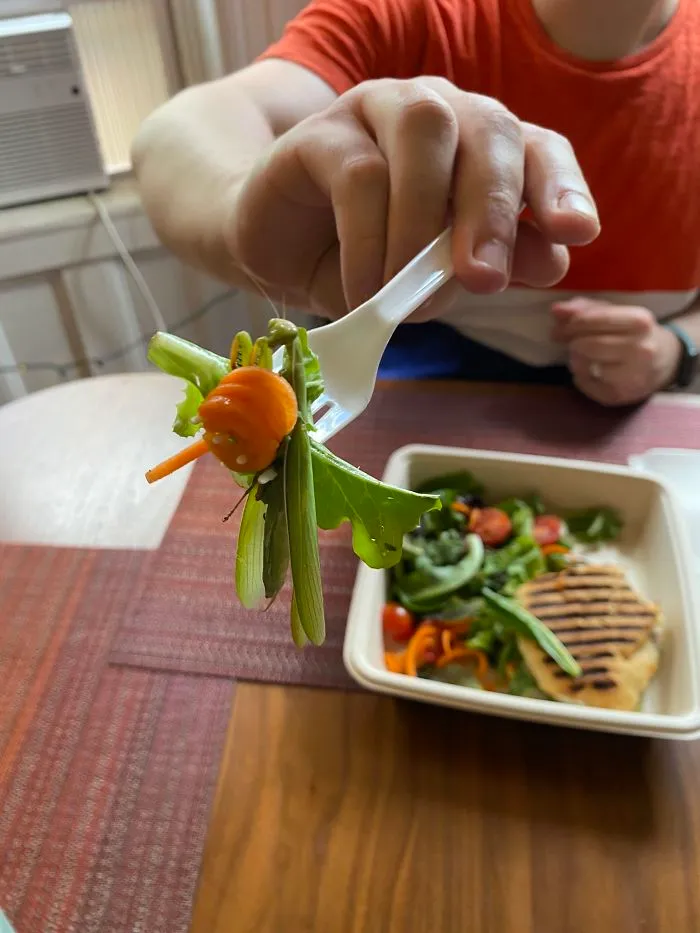 I Almost Ate A Praying Mantis That Was In My Salad