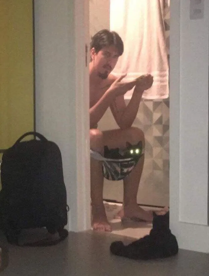 Laser Cat