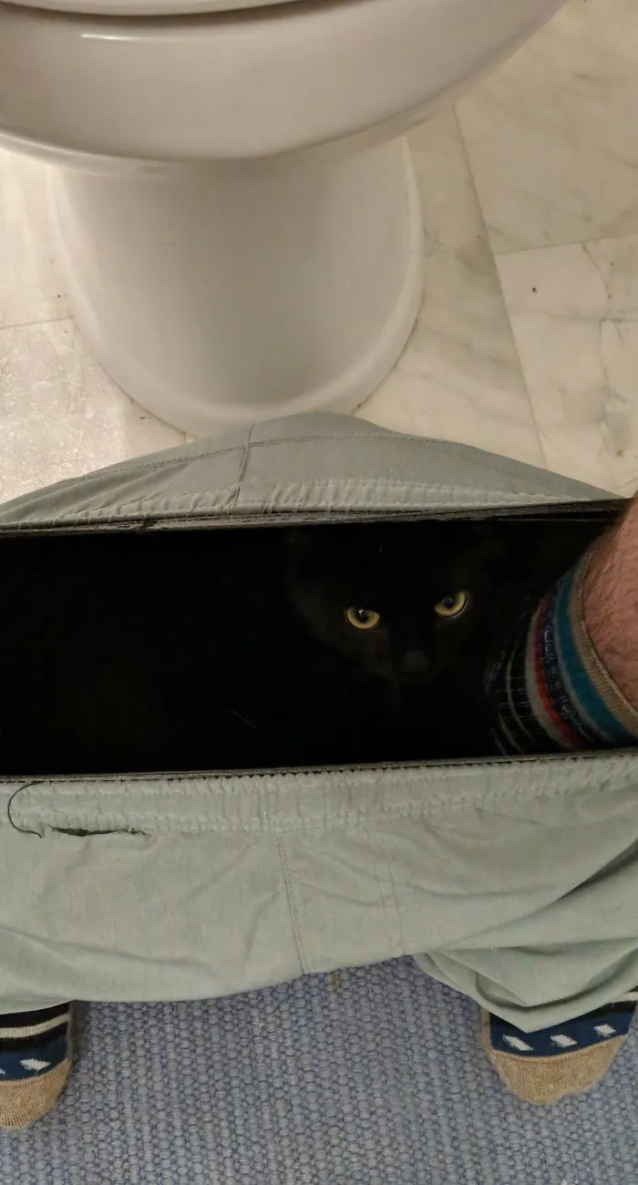 The Abyss Staring Back