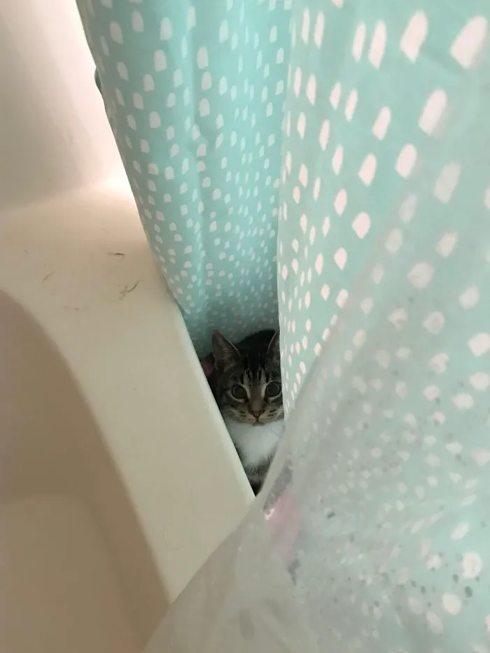 Forgot To Close The Door While I Was Taking A Shower