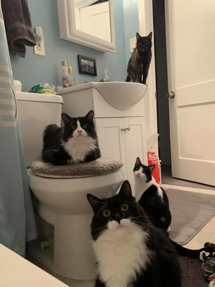 My Alien Crew Receiving A Transmission From The Mothership