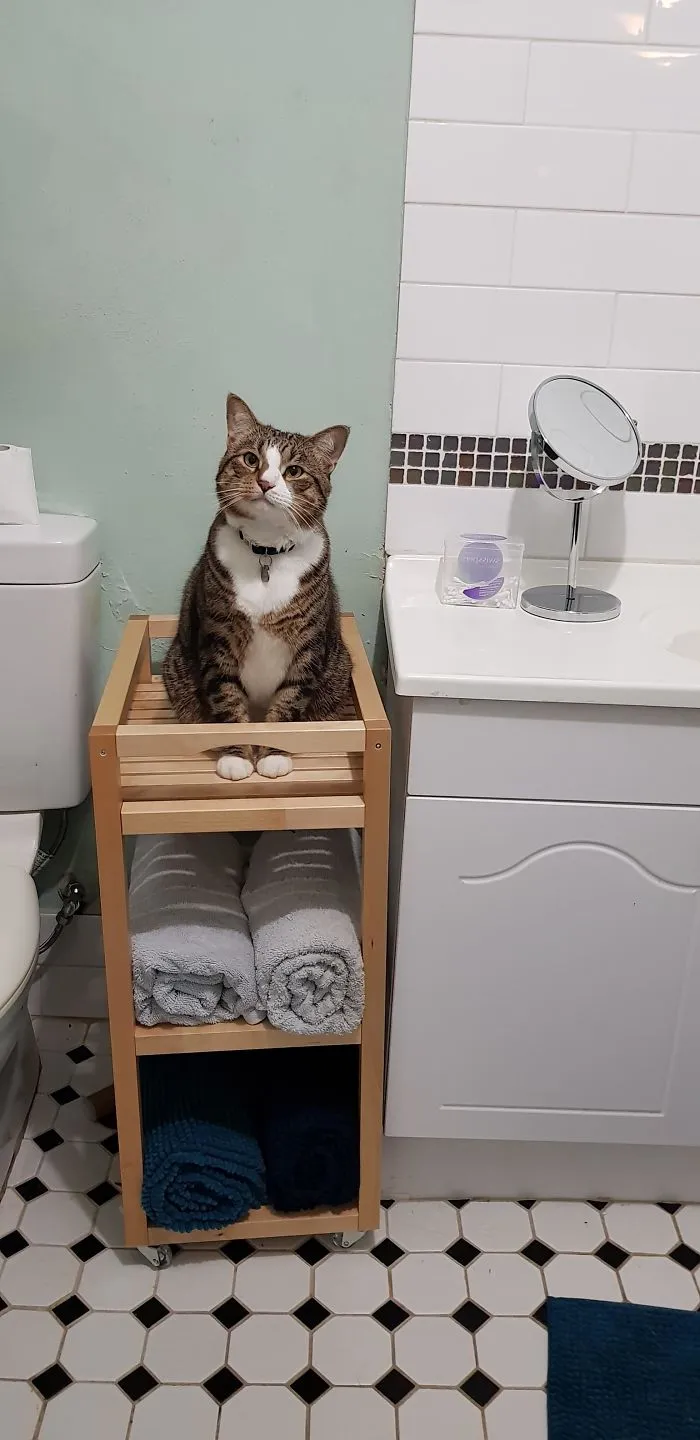 Professional Shower Supervisor