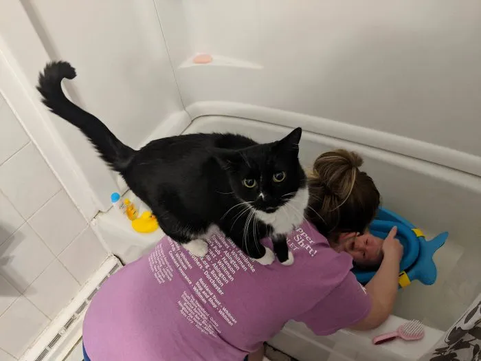 Our Cat Is Very Protective Of Our Newborn. She Does Not Approve Of Her Getting A Bath