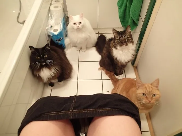 Sup