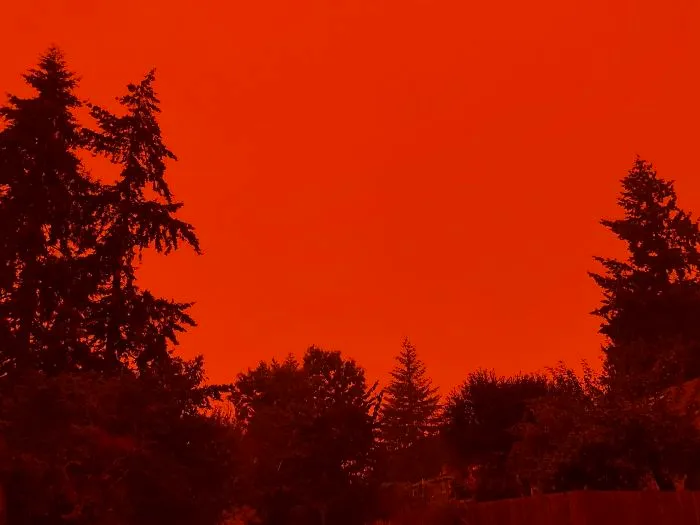 My Front Porch View Looks Like A Scene Out Of Stranger Things