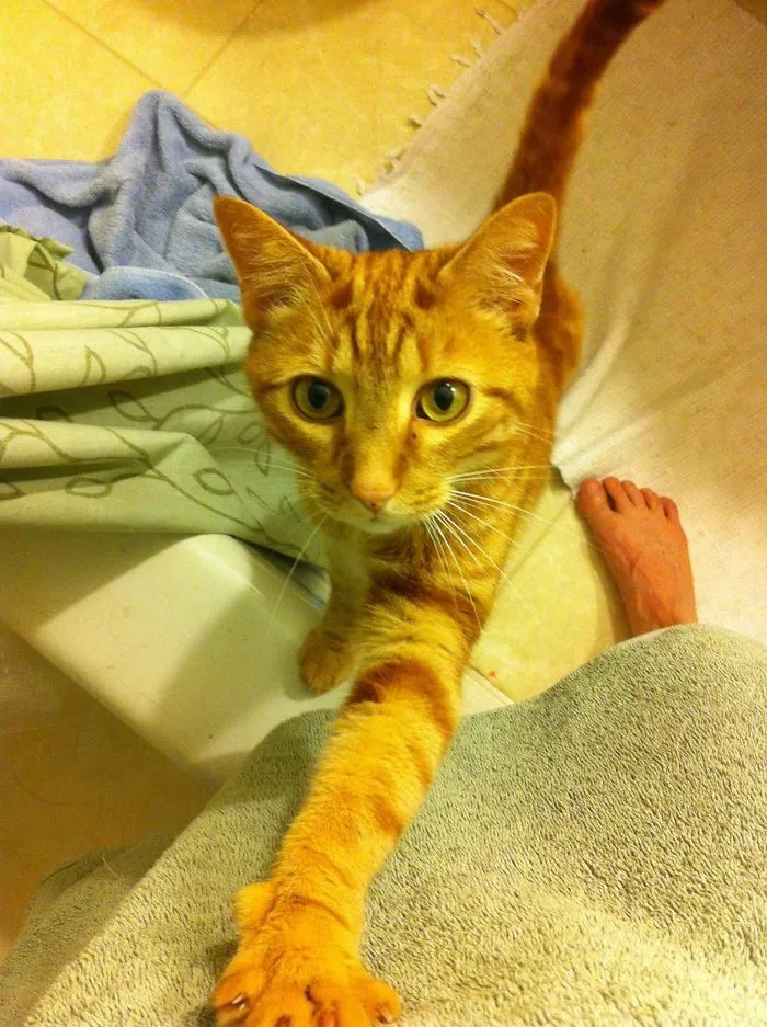 "Are You Ok? You Know That Water Can Be Pretty Dangerous!" Karl Greets Me After Every Shower