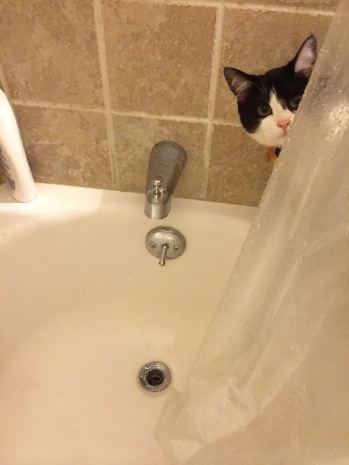Showering, When Suddenly...