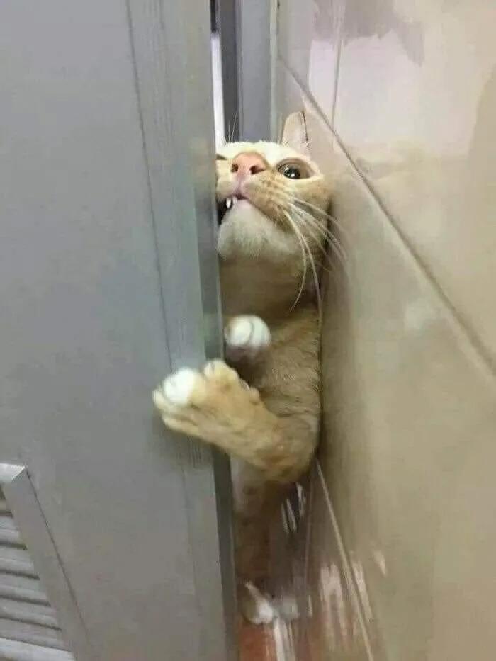 Human, What Are You Doing In That Bathroom?