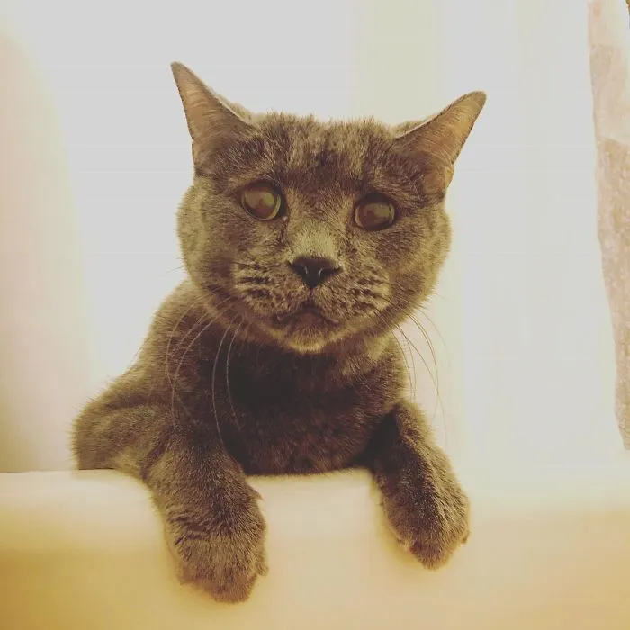 12 Years Together And He Still Fears For My Life Every Time I Take A Bath