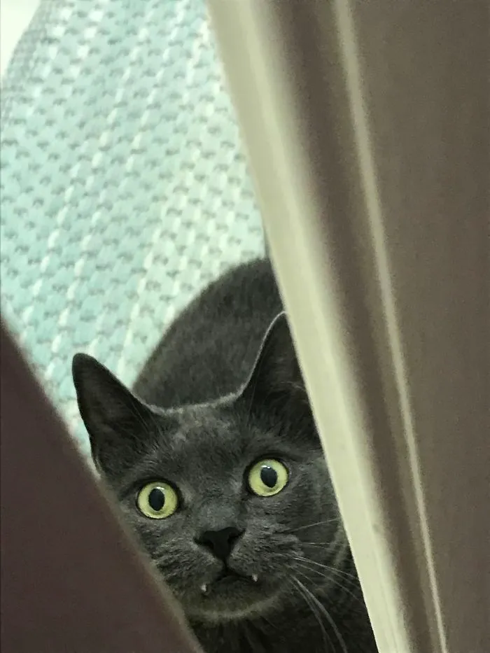 Got Out Of The Shower And Saw This Thru The Crack Of The Door