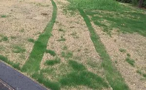 50 'Mildly Interesting' Things Spotted In Nature That Are Actually Surprising